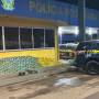 PRF aborda caminhoneiro que transportava drogas e armas de guerra em caminhão boiadeiro no município de Cacéres 