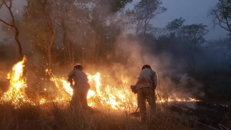 Combate à incêndios no Pantanal