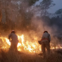 Corpo de Bombeiros combate 34 incêndios florestais nesta terça-feira (9)