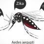 Vigilância Ambiental de Juara reforça alerta contra o mosquito Aedes aegypti durante período de estiagem