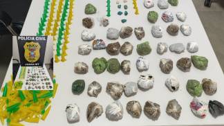 PRISÃO E APREENSÃO PRISÃO E APREENSÃO