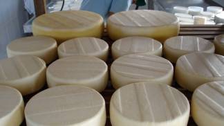 PRODUÇÃO DE QUEIJO