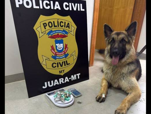 POLICIA JUDICIÁRIA CIVIL