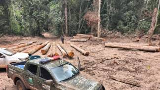APREENSÃO DE MADEIRA MARCELÂNDIA