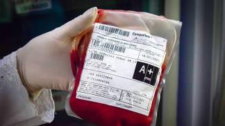 BOLSA DE SANGUE