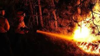 INCENDIOS FLORESTAIS 