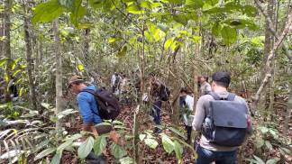 Curso_de_Identificador_Florestal (2)