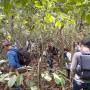Curso de Identificador Florestal Capacita Profissionais Para Aprimorar Reconhecimento de Espécies em Mato Grosso
