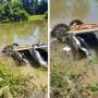 Homem morre após carro sair da pista e cair em lagoa na MT-322