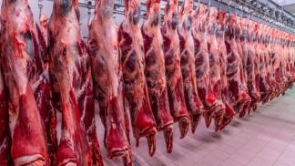 EXPORTAÇÃO CARNE BOVINA