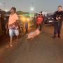 Multidão saqueia porcos após carreta tombar em Várzea Grande