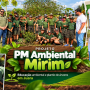 PM Ambiental Mirim realiza ação de educação ambiental e plantio de árvores em Juara