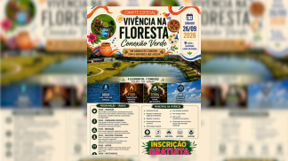 conexão verde 1