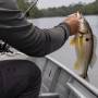 Pesca fica proibida em rios de MT durante período de piracema até janeiro de 2027